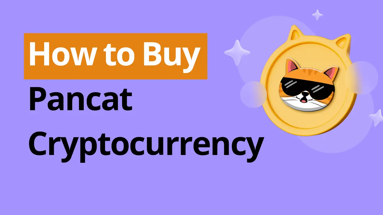Buy Pancat Cryptocurrency