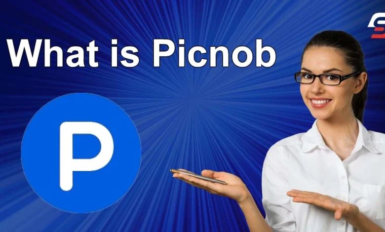 Picnob: Revolutionizing the Digital Landscape